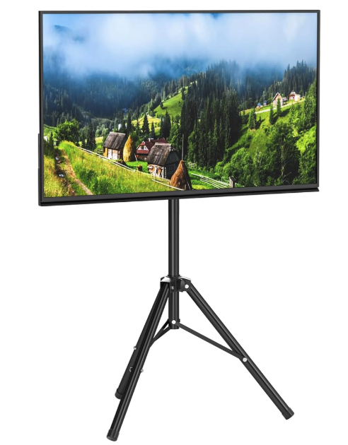55" Display on Stand